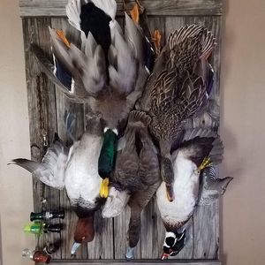 Meet your Posher, Scott